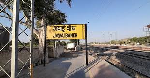Jawai Bandh Guide